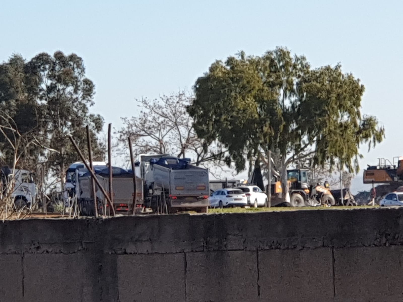 WhatsApp Image 2020-02-06 at 8.39.33 AM.jpeg.jpeg